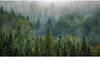 land degradation