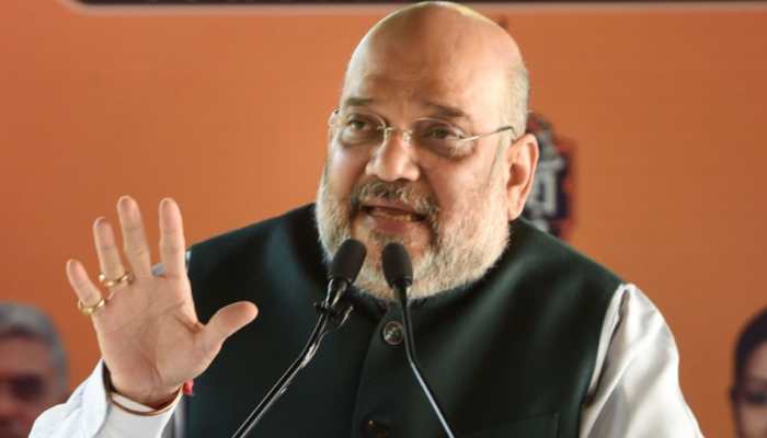 Biggest contribution of local languages and Hindi was during freedom struggle, says Amit Shah