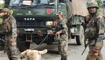 Grenade attack on BJP leader's house in Jammu and Kashmir's Rajouri, minor killed