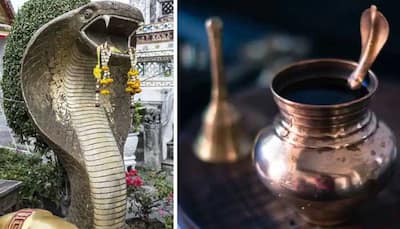 Nag Panchami 2021: Follow these steps to perform special puja on this day!