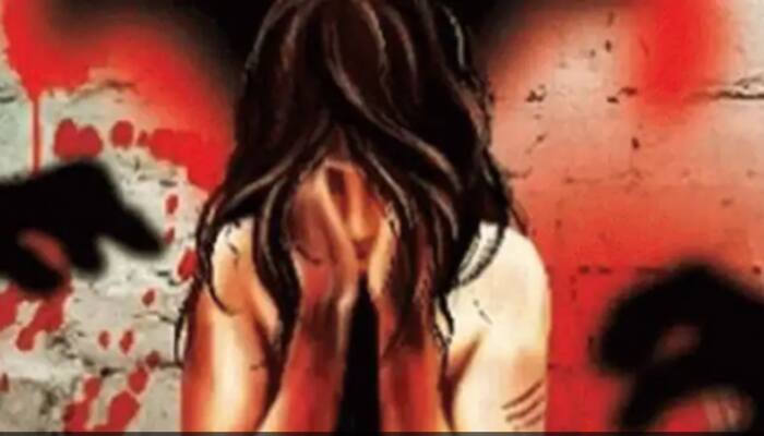 Delhi HC seeks probe report from police into rape, murder of 9-year-old girl; SIT set up