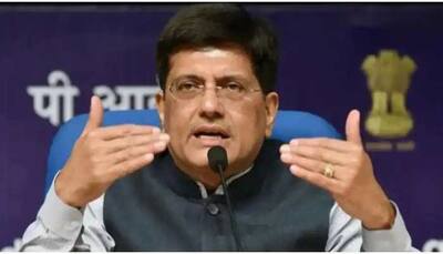 Centre will support establishing semiconductor industry in India: Piyush Goyal