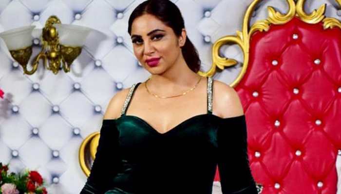 I am not from Pakistan, my roots are in Afghanistan, reveals ex Bigg Boss contestant Arshi Khan on trolls targetting her