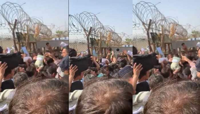 Afghan mothers throw babies over barb wire at Kabul Airport, soldiers watch in horror