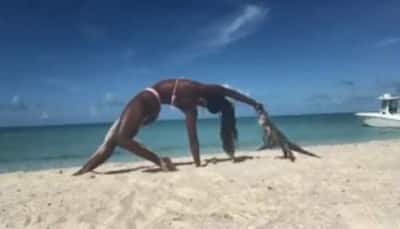 Viral video: Woman gets bitten by iguana while practicing yoga on beach - Watch