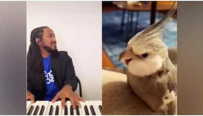 Viral: Melodious bird ‘Mushroom’ sings duet with Carter, leaves netizens impressed