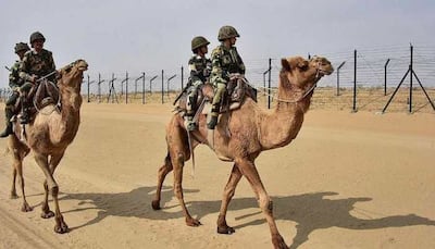 BSF to start pilot project to prevent shifting sand dunes along India-Pakistan border
