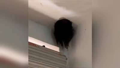 Scary! Girl's head dangles from ceiling like in horror movies, here's what happened next