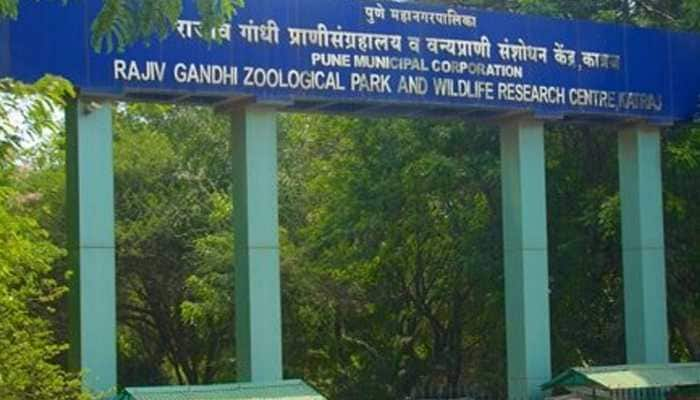 Assam to remove Rajiv Gandhi&#039;s name from Tiger Reserve, rename it as Orang National Park