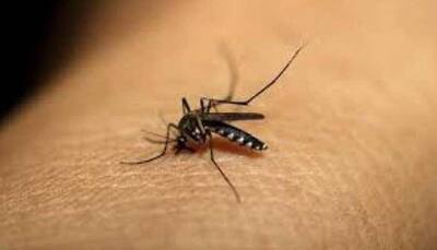 Doctors suspended as 6 more die of suspected dengue in Uttar Pradesh's Firozabad, toll rises to 47 