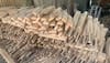 Kashmir willow bats to get GI tagging, expected to boost sale in international markets