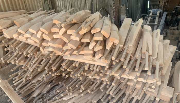 Kashmir willow bats to get GI tagging, expected to boost sale in international markets
