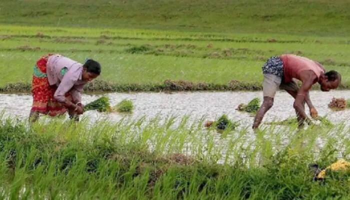 Yogi Adityanath govt to prepare a database of farmers to directly provide them benefits