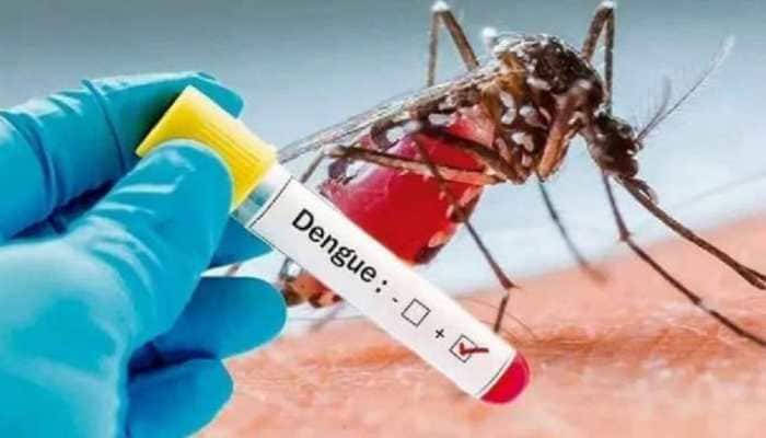 Killer dengue strain's mystery solved! D2 strain caused maximum deaths in  UP | India News | Zee News