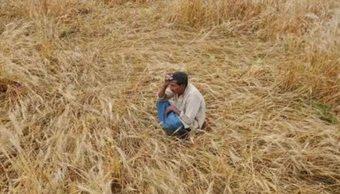 50% of rural agricultural households in debt, average loan stood at Rs 74,121 in 2019: NSO