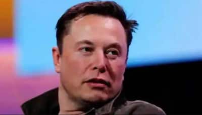Elon Musk tweets photo of new pet Shiba Inu, Floki-themed crypto rises nearly 1,000%