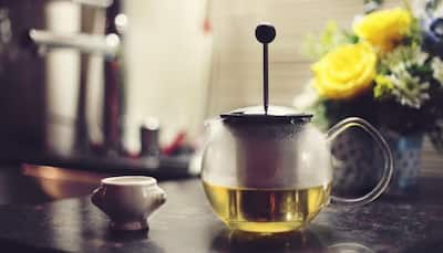 Green tea, cocoa-rich diet may help boost survival in elderly