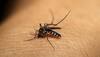 Two more deaths due to dengue, viral fever in UP's Firozabad