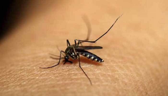 Two more deaths due to dengue, viral fever in UP's Firozabad
