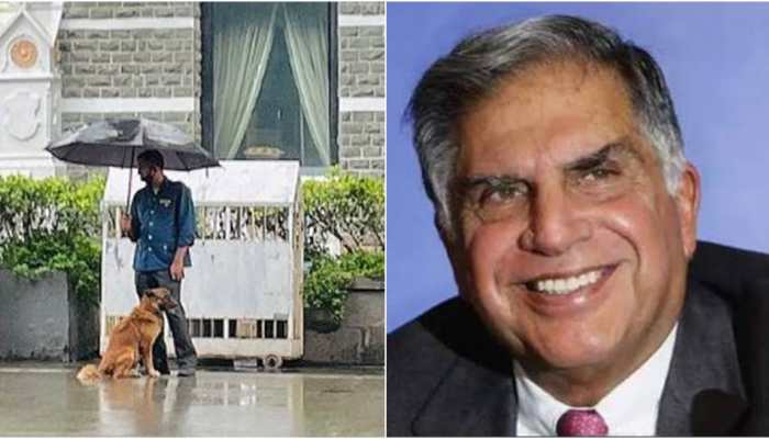 Ratan Tata hails employee for sharing umbrella with stray dog, calls it &#039;heartwarming&#039;