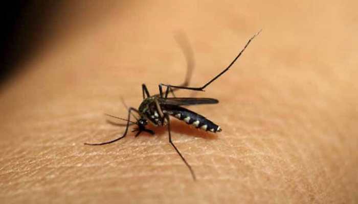 Uttar Pradesh&#039;s dengue toll rises, total 63 dead in Firozabad 