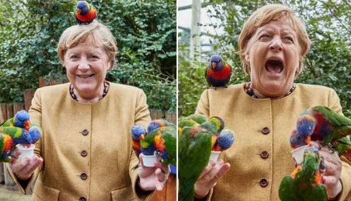 Angela Merkel gets pecked by birds, picture triggers hilarious memes 