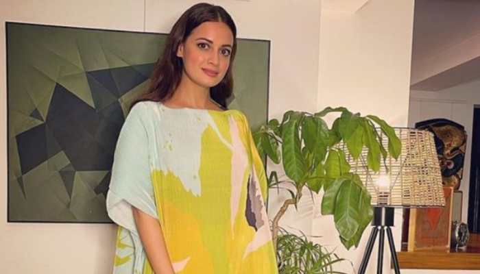 Dia Mirza&#039;s reply to netizen asking &#039;how much did you charge&#039; for Global Citizen event wins hearts!