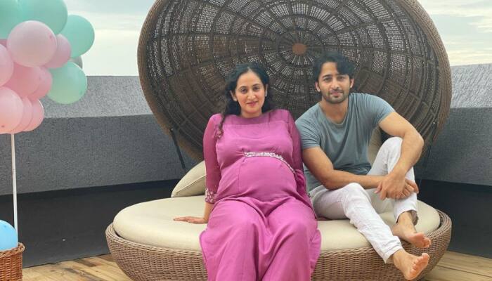 I undergo COVID-19 test before meeting my daughter, says Pavitra Rishta 2 actor Shaheer Sheikh