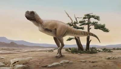 New dinosaur species found in Brazil, roamed earth 70 million years ago