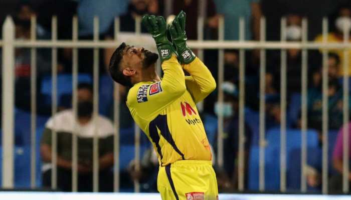 Chennai Super Kings skipper MS Dhoni takes a catch against Sunrisers Hyderabad in their IPL 2021 match in Sharjah. (Photo: ANI)