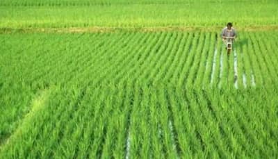 PM Kisan Samman Nidhi: Farmers could soon receive Rs 2000 instalment in October 