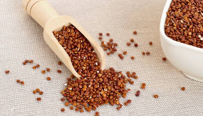 All you need to know about gluten free grains