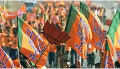 BJP wins Gandhinagar, two other civic bodies, Congress bags Bhanvad municipality in Gujarat