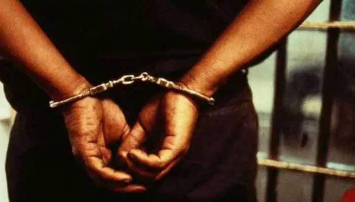 Cruise ship drug case: Court remands 4 accused to NCB custody till Oct 14