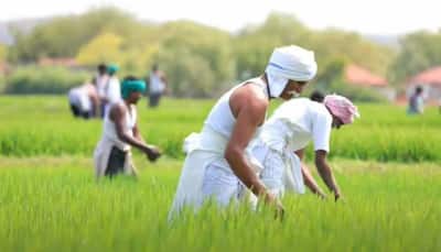 PM-KISAN 10th installment coming on THIS day? Know how to check beneficiary