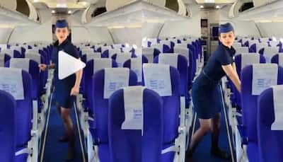 IndiGo air hostess dances to viral 'Touch It' song on flight - Watch video