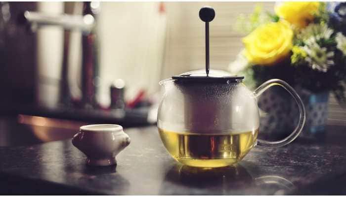 Green tea compounds can treat Covid, diabetes, ageing: IISER Bhopal