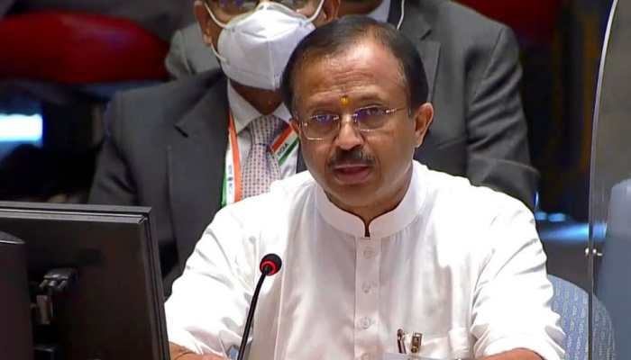 Increasing spread of terrorism in Africa is a matter of serious concern: India at UNSC