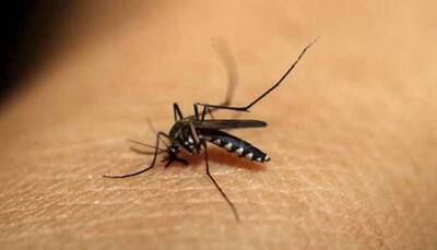 Delhi witnesses big surge in dengue cases caused by prolonged monsoon period