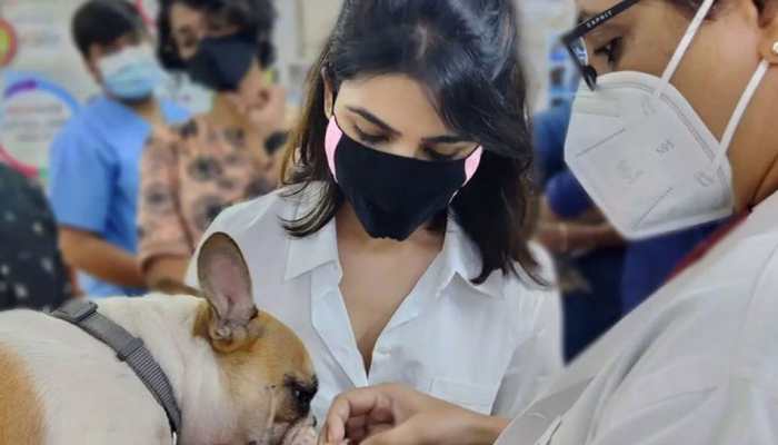 Samantha Ruth Prabhu's FIRST public appearance after announcing separation from Naga Chaitanya is all about her furry friends - In Pics