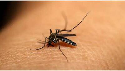 1st death due to dengue reported in Delhi this year, 723 total cases