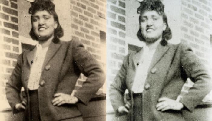 HeLa Cells: Cells of a Black woman who died of Cancer 70 years ago, still saves millions of lives!
