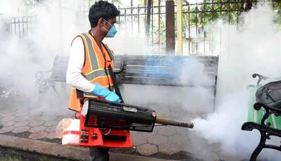 After COVID-19, dengue stings Delhiites; city sees more cases than coronavirus in one week
