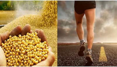 Soybean: This vegetarian source provides more protein than egg and meat