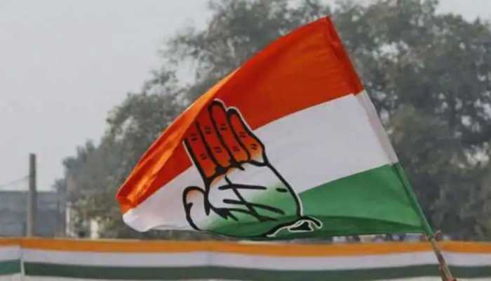 Congress will launch massive agitation against fuel price hike from Nov 14-29