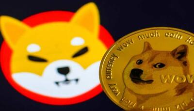 Shiba Inu tumbles after Elon Musk’s tweet; here’s why 