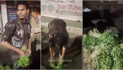 Bhopal vegetable vendor booked for washing coriander leaves in drain water - Watch