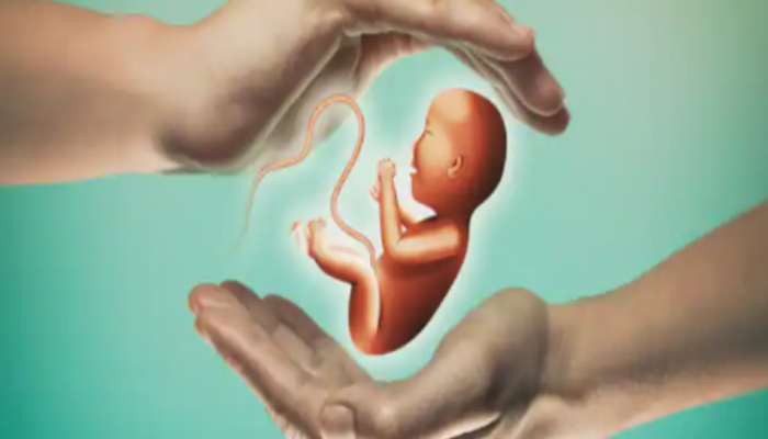 Exclusive: All you need to know about egg-freezing procedure for late pregnancy in 30s and 40s Exclusive: All you need to know about egg-freezing procedure for late pregnancy in 30s and 40s