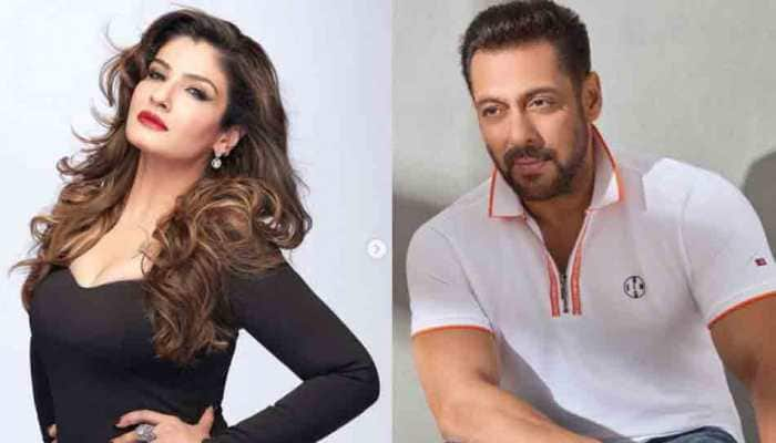 700px x 400px - When Salman Khan fought with Raveena Tandon on film sets, vowed to never  work with her again | People News | Zee News