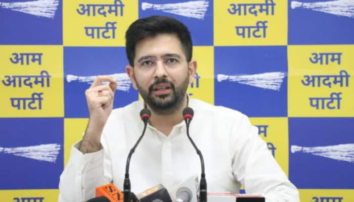 Punjab CM Charanjit Channi was terrified by Arvind Kejriwal&#039;s Bijli Guarantee: Raghav Chadha